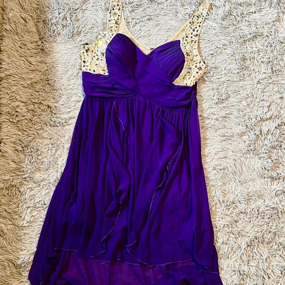 Purple‎ and nude deb formal